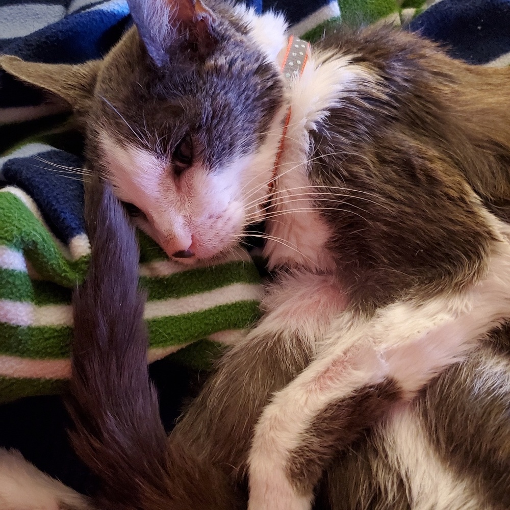 Meet your Posher, Sandi